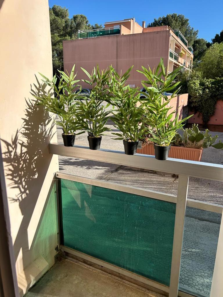 Studio Meuble Bord De Mer Bormes-les-Mimosas Buitenkant foto